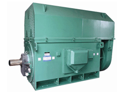 虎林Y系列6KV高压电机
